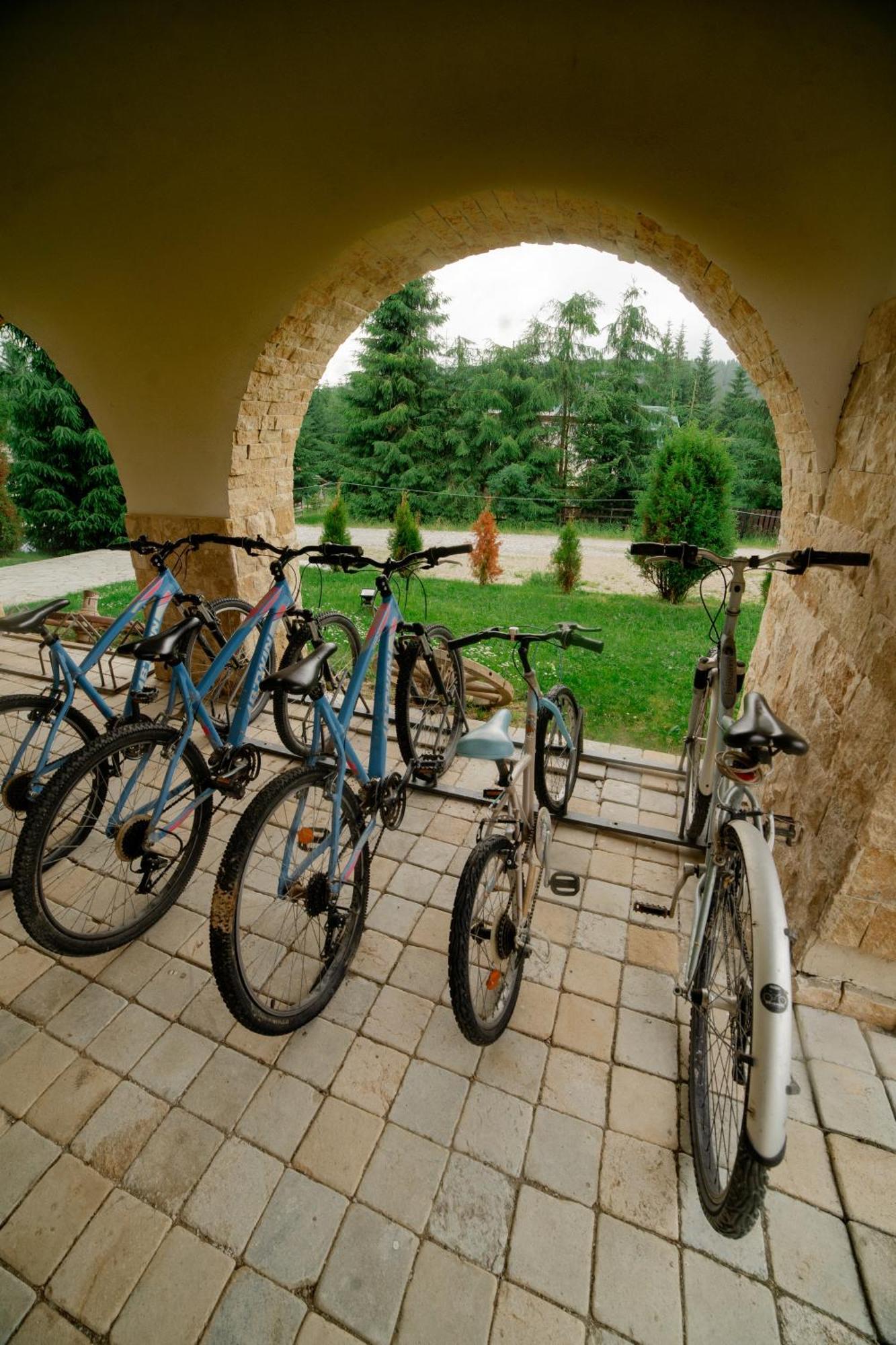 Pensiunea Park Smida