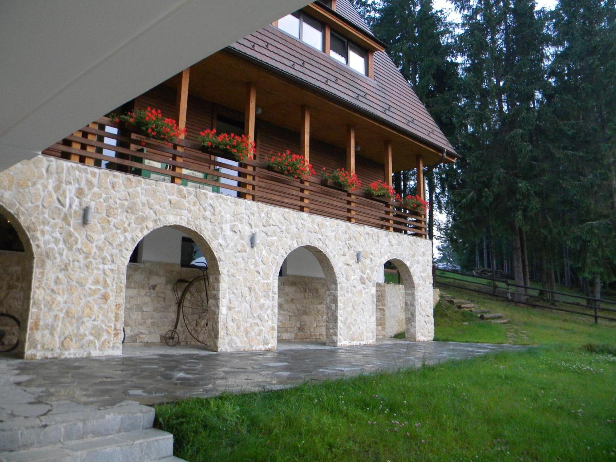 Pensiunea Park Pensión 4*